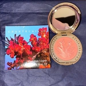 COPY - Chantecaille Blush